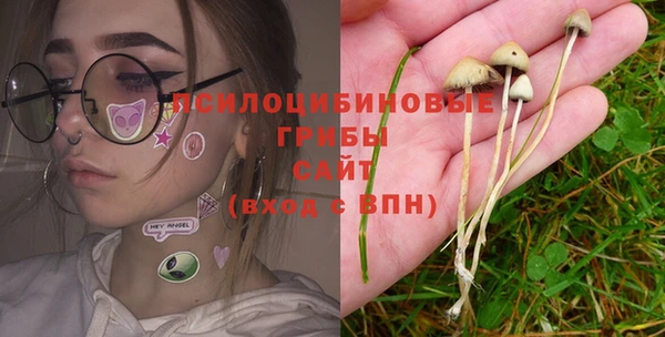 прущий лед Богородицк
