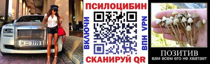 Псилоцибиновые грибы Magic Shrooms  закладка  Оха 